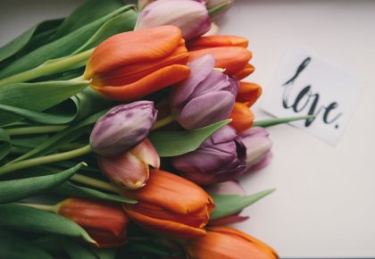 love script and tulips